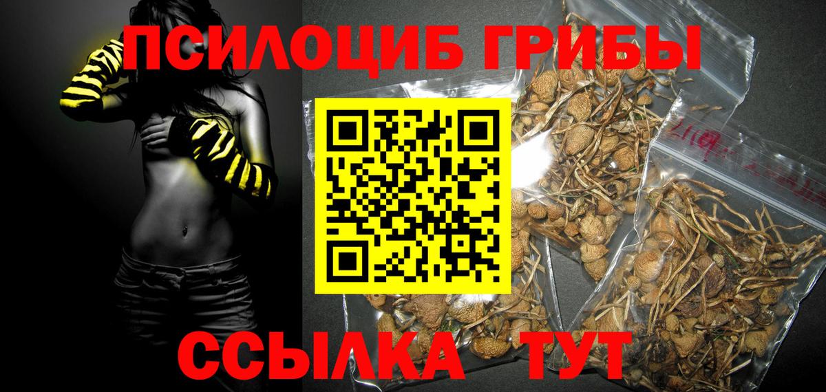 Шарыпово  Псилоцибиновые грибы мицелий  Вход с VPN 