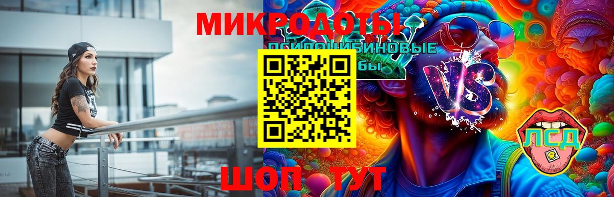 Псилоцибиновые грибы мицелий Шарыпово